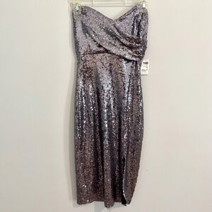 Strapless Silver Sequin Dress Charlotte Russe